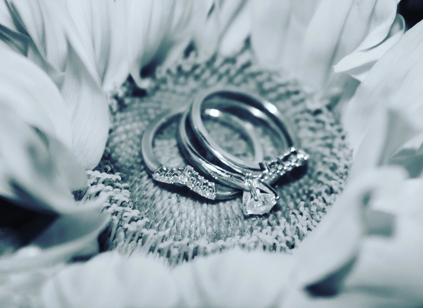 ,  studio, Wedding Photography, Wedding Photographer,New Orleans Photographer, Louisiana Photographer, Photography, , , Louisiana Photography, New Orleans Photography